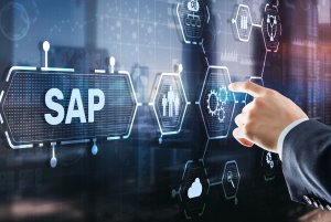 KRONGAARD SAP Consultant